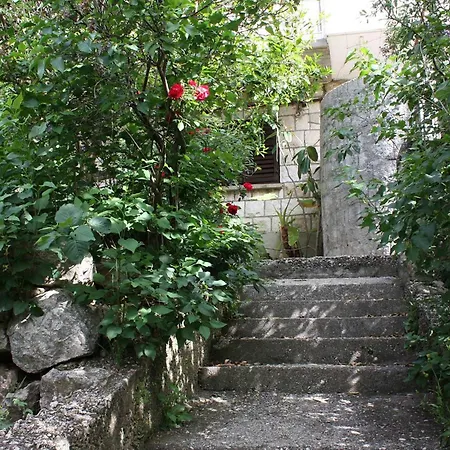 By The Sea Cove Saplunara, Mljet - 4901 * سابلونارا