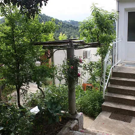 By The Sea Cove Saplunara, Mljet - 4901