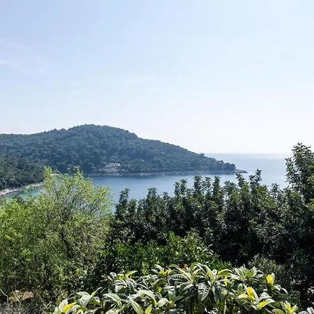 Апартаменты By The Sea Cove Saplunara, Mljet - 4901 Саплунара
