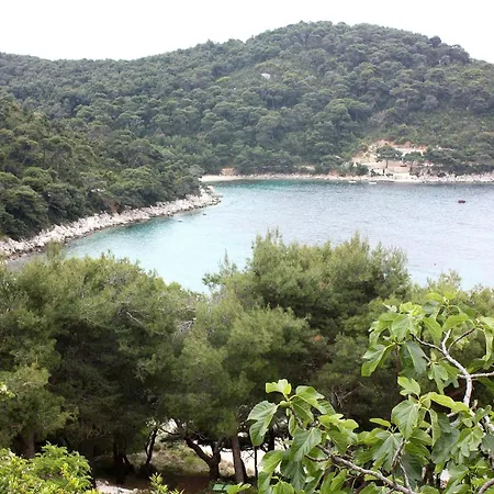 By The Sea Cove Saplunara, Mljet - 4901