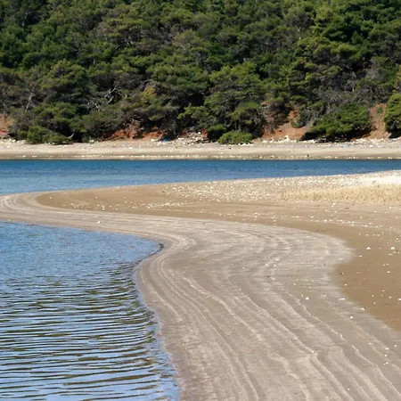 Apartment By The Sea Cove Saplunara, Mljet - 4901