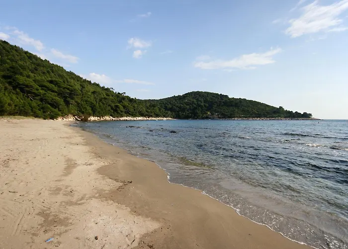 Apartment By The Sea Cove Saplunara, Mljet - 4901