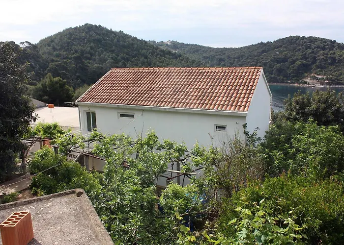 Apartment By The Sea Cove Saplunara, Mljet - 4901 Saplunara